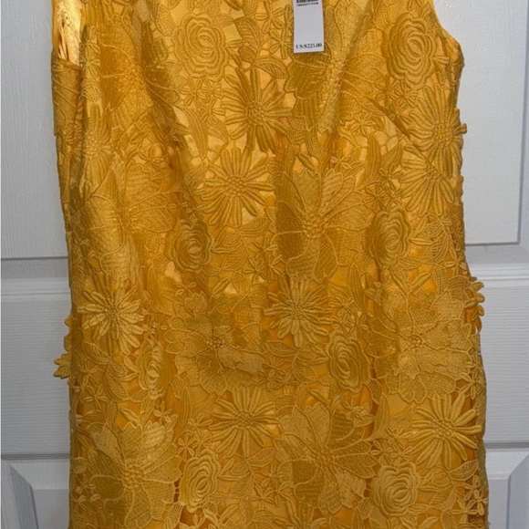 NWT WHBM Lace shift dress 6 - Dandelion. Spring, EasterParade, Lace, Boho, HAPPY - Picture 5 of 10